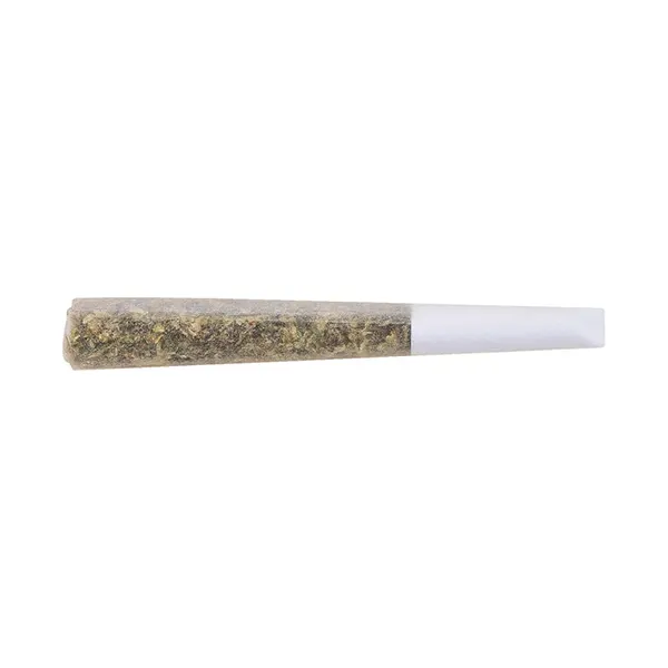 Image for Gold Seal Hash Snake Infused Pre-Roll, cannabis pre-rolls by The Loud Plug