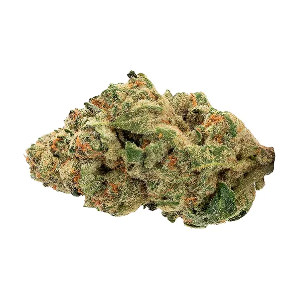 Bud image for Venom OG, cannabis dried flower by The Loud Plug