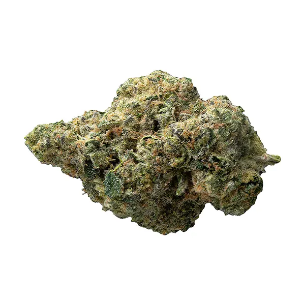 Bud image for The Republic Reserve 25 Plus, cannabis all products by The Republic