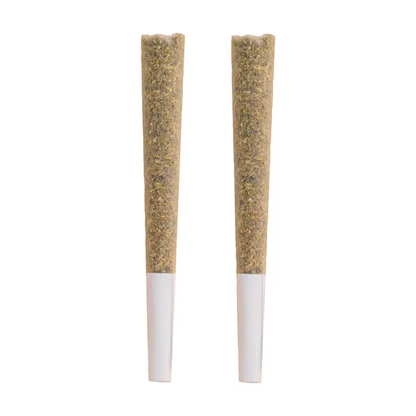 The Republic Reserve 25 Plus Pre-Roll (Pre-Rolls) by The Republic