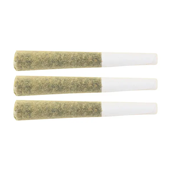 VVS1 Pre-Roll