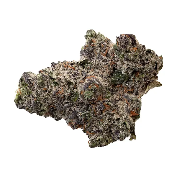 Product image for Original Dankster Cannabis Flower by Canadian Clinical Cannabinoids