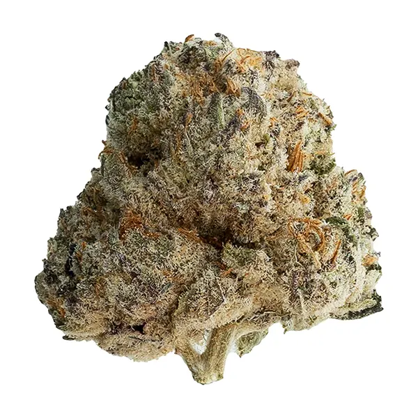 Bud image for OPS, cannabis dried flower by Original Dankster