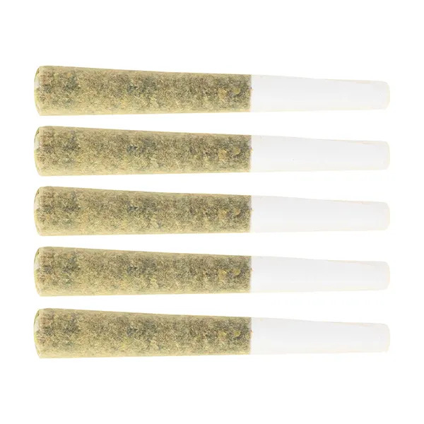 Product image for Trapstar Pre-roll, Cannabis Flower by Original Dankster