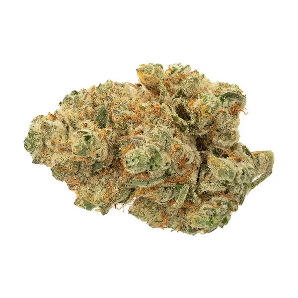 Bud image for Venom OG, cannabis dried flower by The Loud Plug