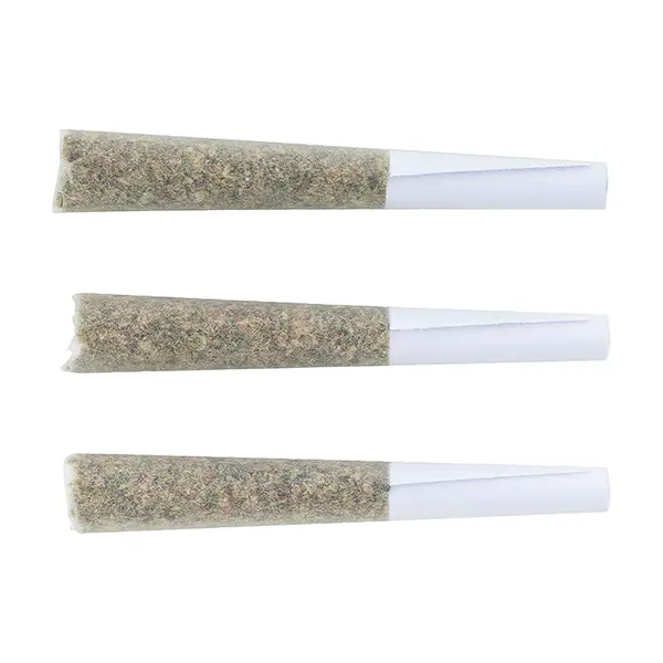 Image for Gas Mask Pre-Roll, cannabis all products by Indiva