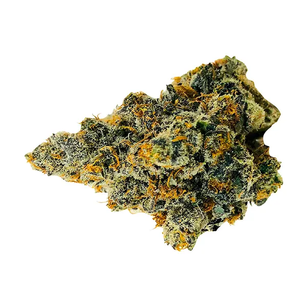 Bud image for Exotic Collection, cannabis all products by BC Weed Co.
