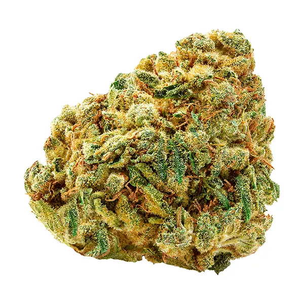 Product image for Seeker Cannabis Flower by Peak Processing