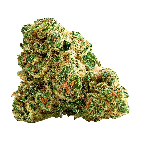 Bud image for Cosmic Cake, cannabis all products by The High Roller Club