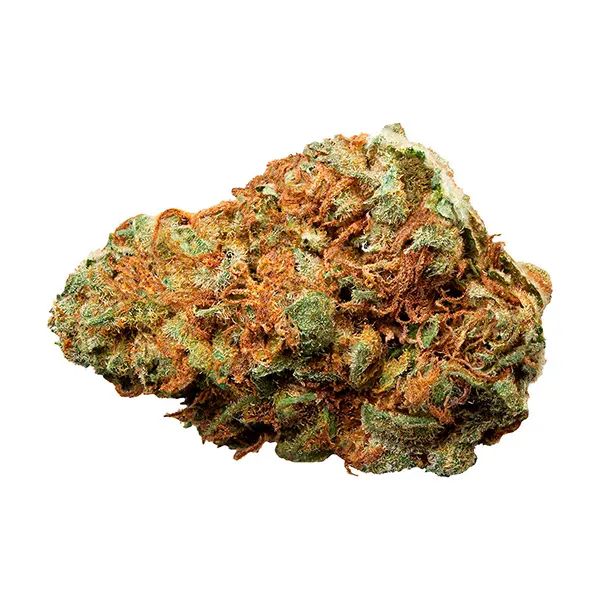 Bud image for Peanut Butter Breath, cannabis dried flower by Spinach
