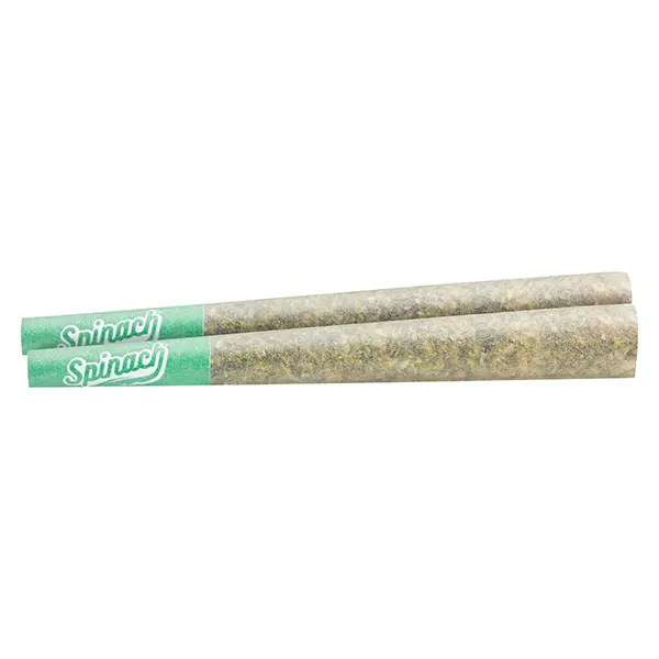 GMO Cookies Pre-Roll (Pre-Rolls) by Spinach