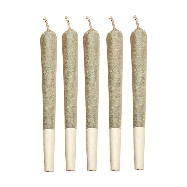 Melon Haze Live ..