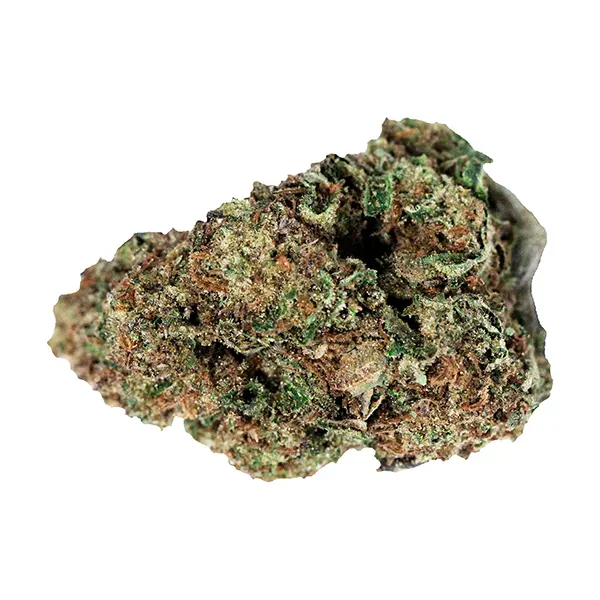 Bud image for Northern Lights, cannabis dried flower by Jonny Chronic
