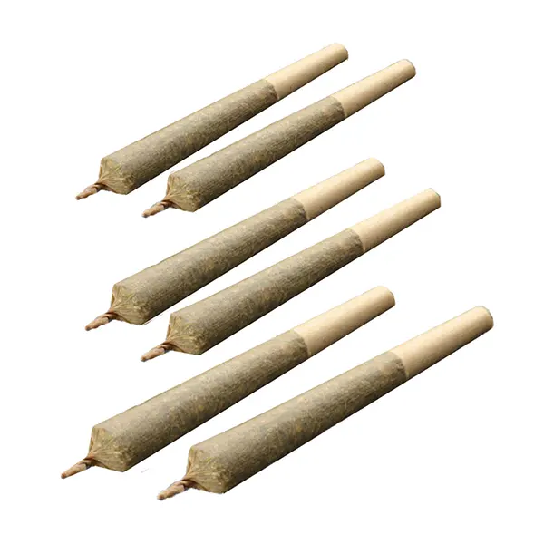 Image for Cakelicious Pre-Rolls, cannabis all products by Weed Me