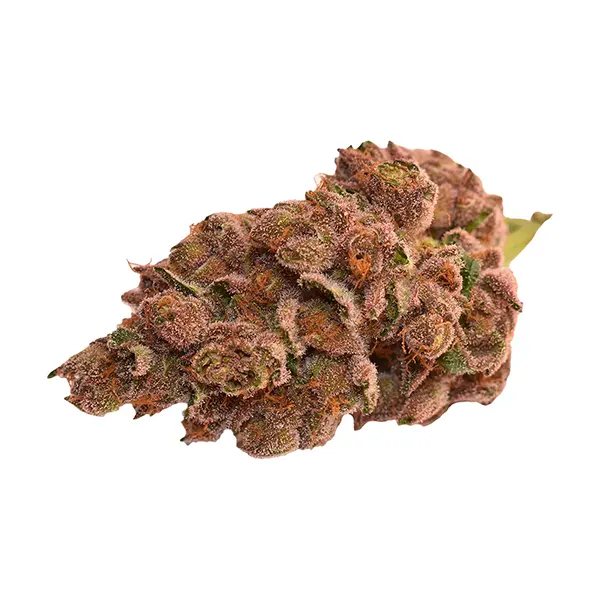 Bud image for Day & Night, cannabis all products by Thumbs Up