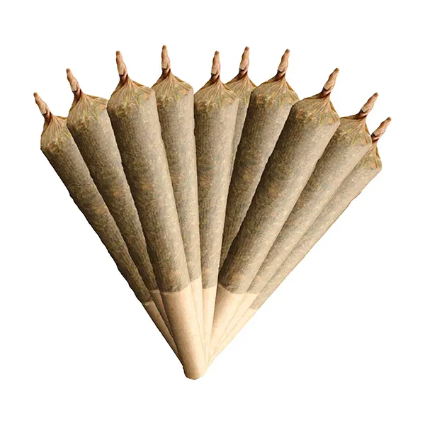 Image for Layer Cheesecake Pre-Roll, cannabis pre-rolls by Weed Me