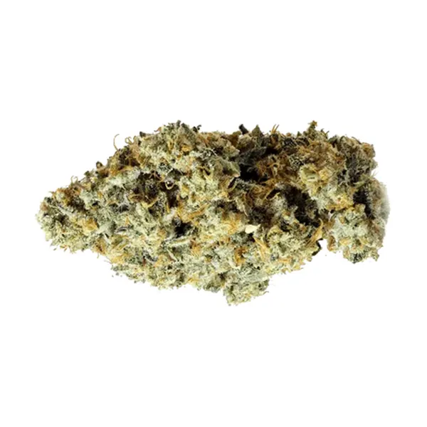 Bud image for Pink Cookies x Kush Mints, cannabis all products by Thumbs Up