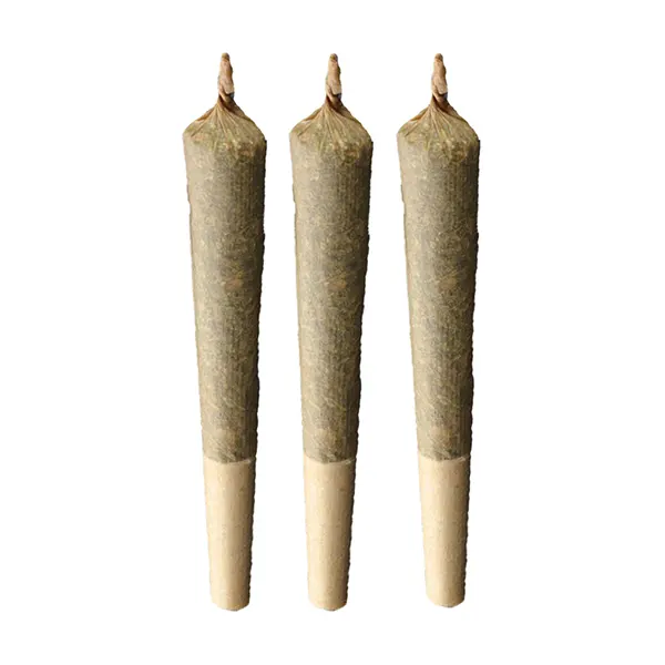 Image for Sativa 20 Plus Pre-Roll, cannabis all products by Weed Me
