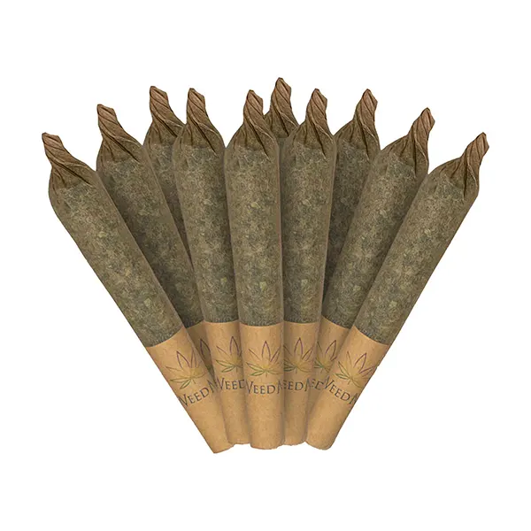 Image for Hybrid Pre-Rolls, cannabis all products by Thumbs Up