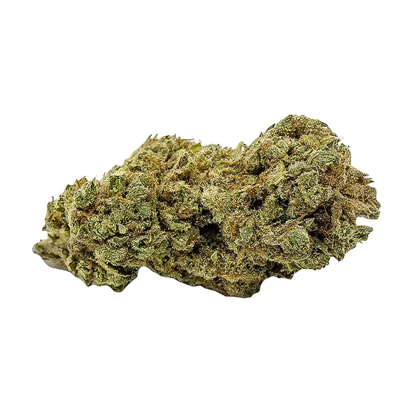 Bud image for Fruitlicious, cannabis dried flower by Weed Me