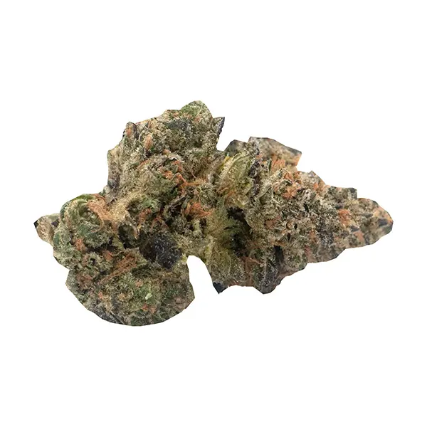 Bud image for Maple Rntz, cannabis dried flower by Weed Me