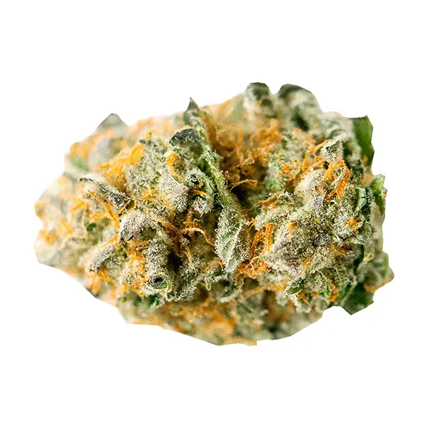 Bud image for Peppermint Kush, cannabis dried flower by Weed Me