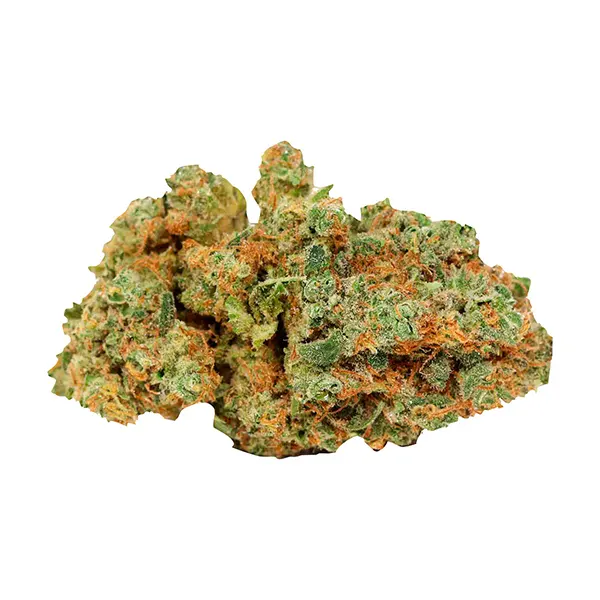 Bud image for Sunset Sherb x Thin Mint Cookies, cannabis all products by Thumbs Up