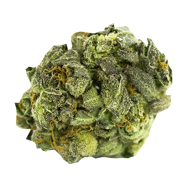 Bud image for Smalls, cannabis all products by Ripped