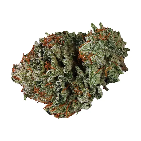 Bud image for Fruity Pleasure, cannabis dried flower by Weed Me