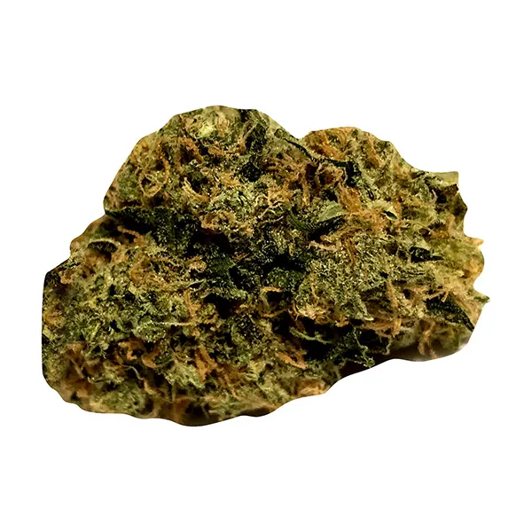 Bud image for Zone Out, cannabis milled flower by Ripped