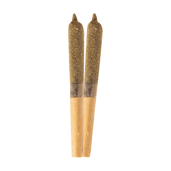 Product image for IN-Fused Tropical Punch Infused Pre-Roll, Cannabis Flower by Ripped