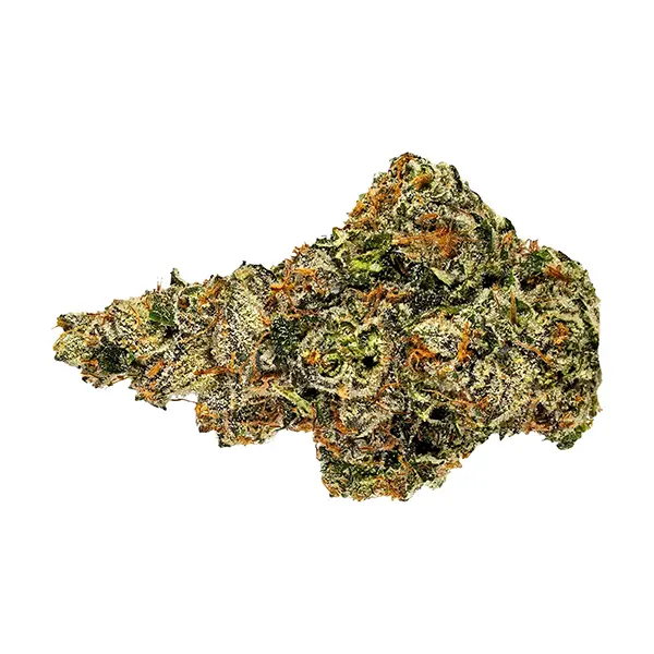 Bud image for Lemon Shortcake, cannabis dried flower by Weed Me