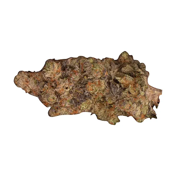 Bud image for Zooted, cannabis all products by Ripped