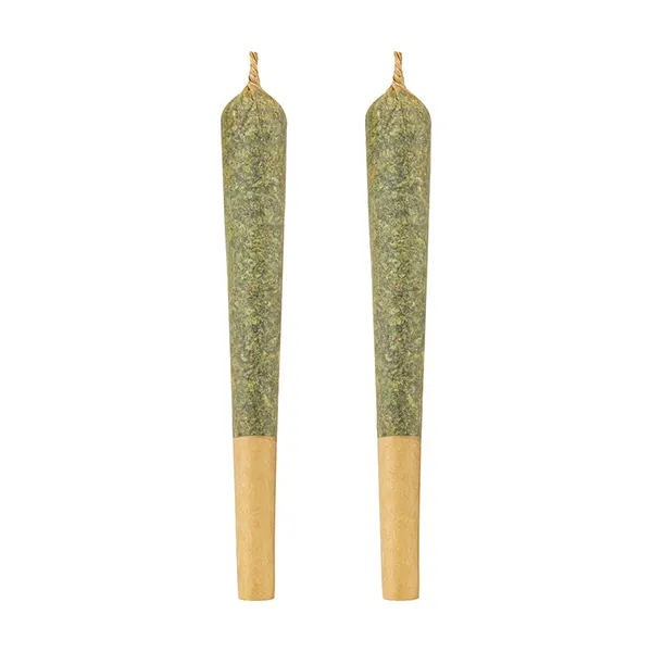 Indica Pre-roll (Pre-Rolls) by Thumbs Up