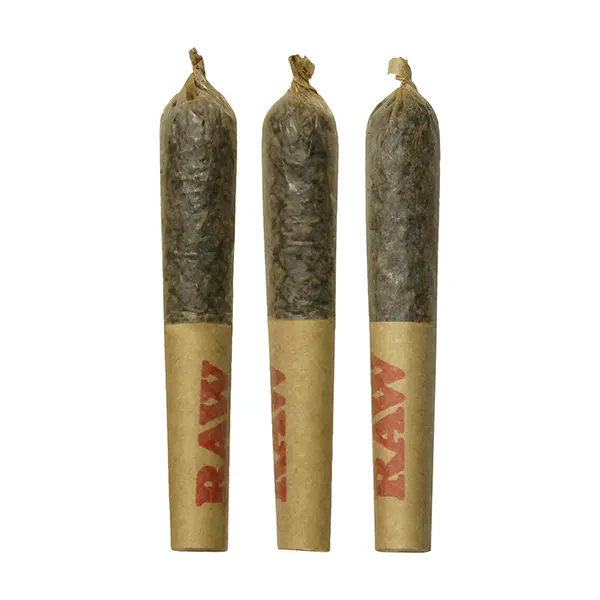 Product image for Baja Banana Disti Infused Joints, Cannabis Flower by Dab Bods