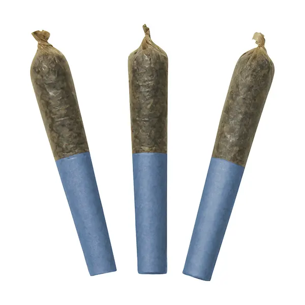 Blue Lobster 60's+ Dbl Infused Pre-roll (Pre-Rolls) by Dab Bods