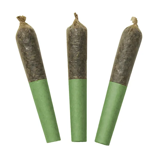 Product image for Tropical Burst 60's+ Dbl Infused Pre-Roll, Cannabis Flower by Dab Bods