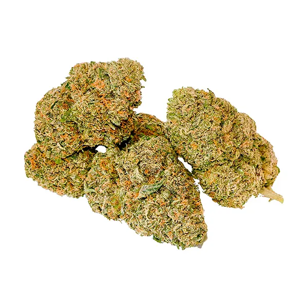 Image for Ice Cream Wizard