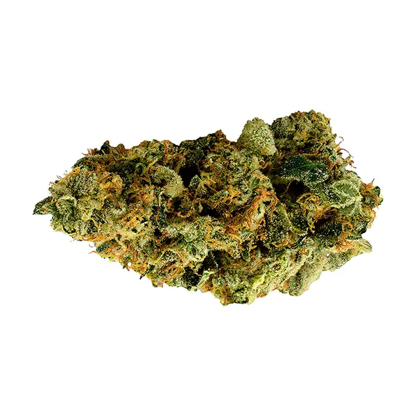 Bud image for Perfect Score, cannabis all products by High Land