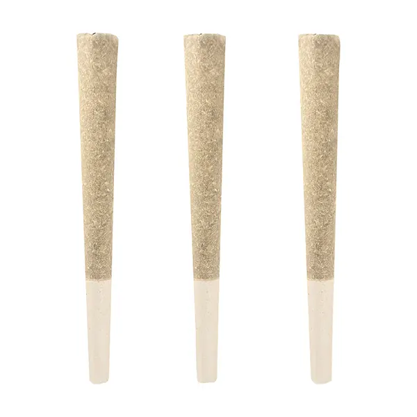 Image for Campfire Dream Distillate Infused Pre-Rolls