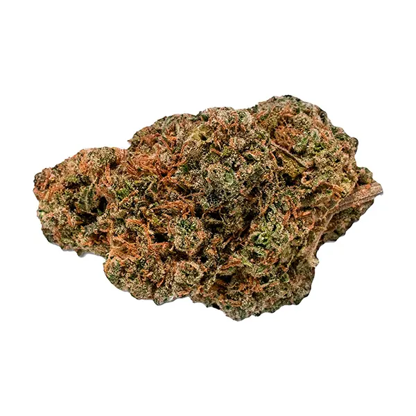 Image for King's Counsel