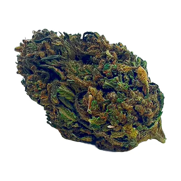 Cherry Superior ..
