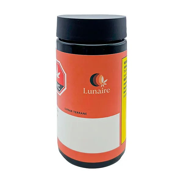 Lunar Terrane (Dried Flower) by Lunaire