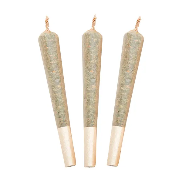 Product image for Pirate Potion Sativa Pre-Roll, Cannabis Flower by Happy & Stoned