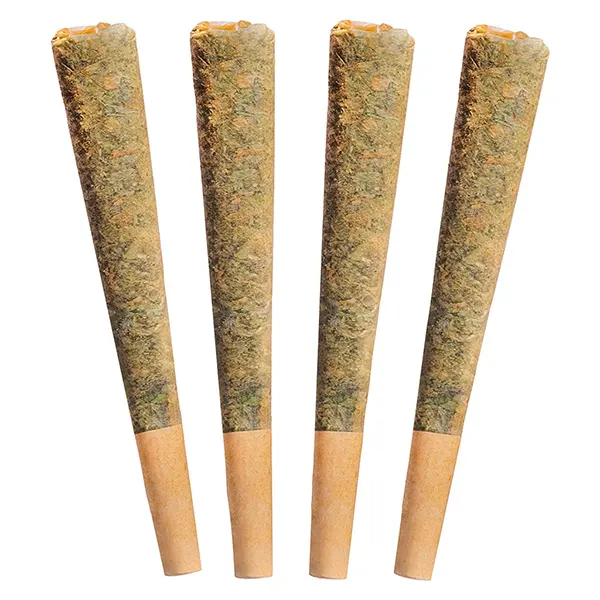Sunny Daze Sativa Pre-Roll (Pre-Rolls) by Fuego