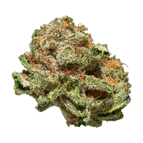 Bud image for Lion's Mane, cannabis dried flower by Safari Flower Co.