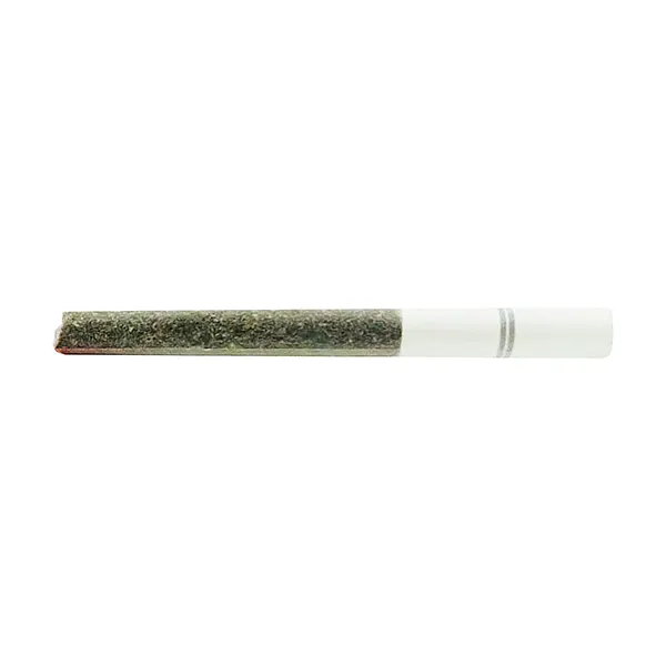 Image for Blasters Trident Pre-Roll, cannabis all products by November Rain