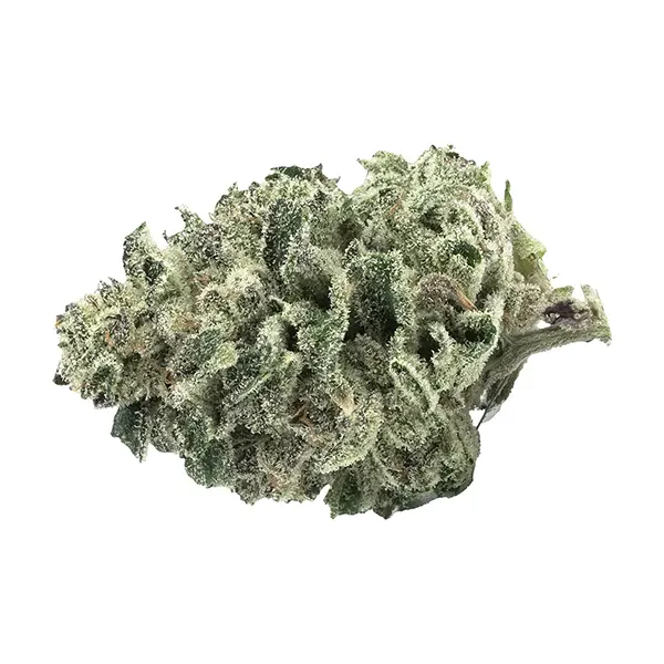 Product image for Tantalus Labs Cannabis Flower by Tantalus Labs