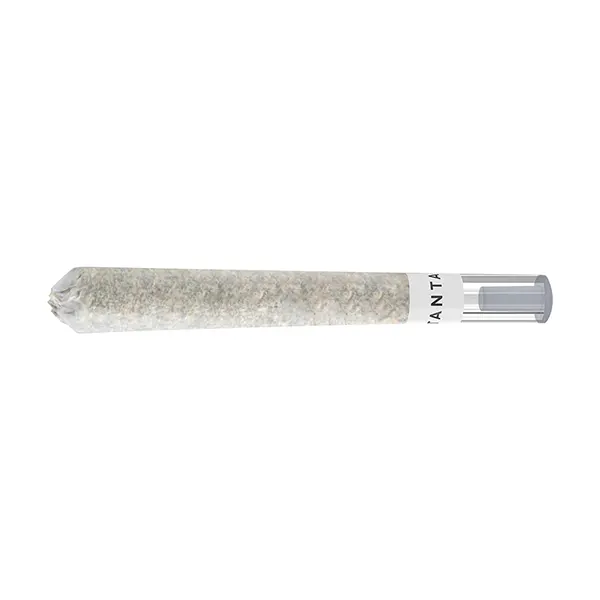 Horchata ULTRA MAX Diamond Infused Glass Tip Pre-Roll (Pre-Rolls) by Tantalus Labs