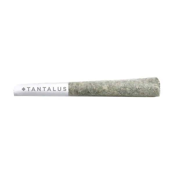 Pacific OG Pre-Roll (Pre-Rolls) by Tantalus Labs